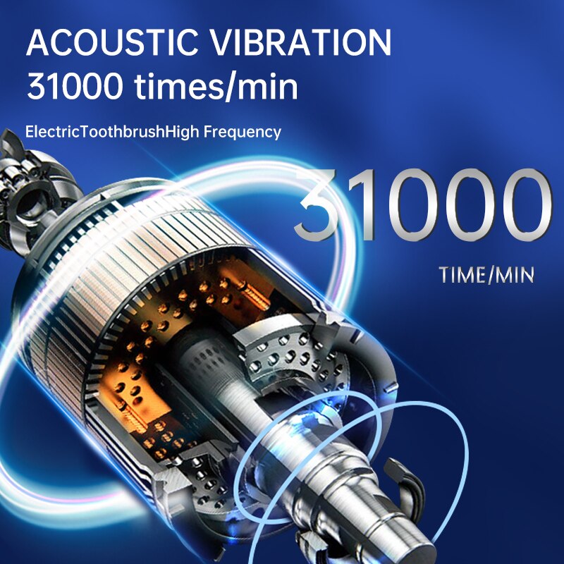 Jianpai adulte mâle et femelle - Geared Motor avis et prix